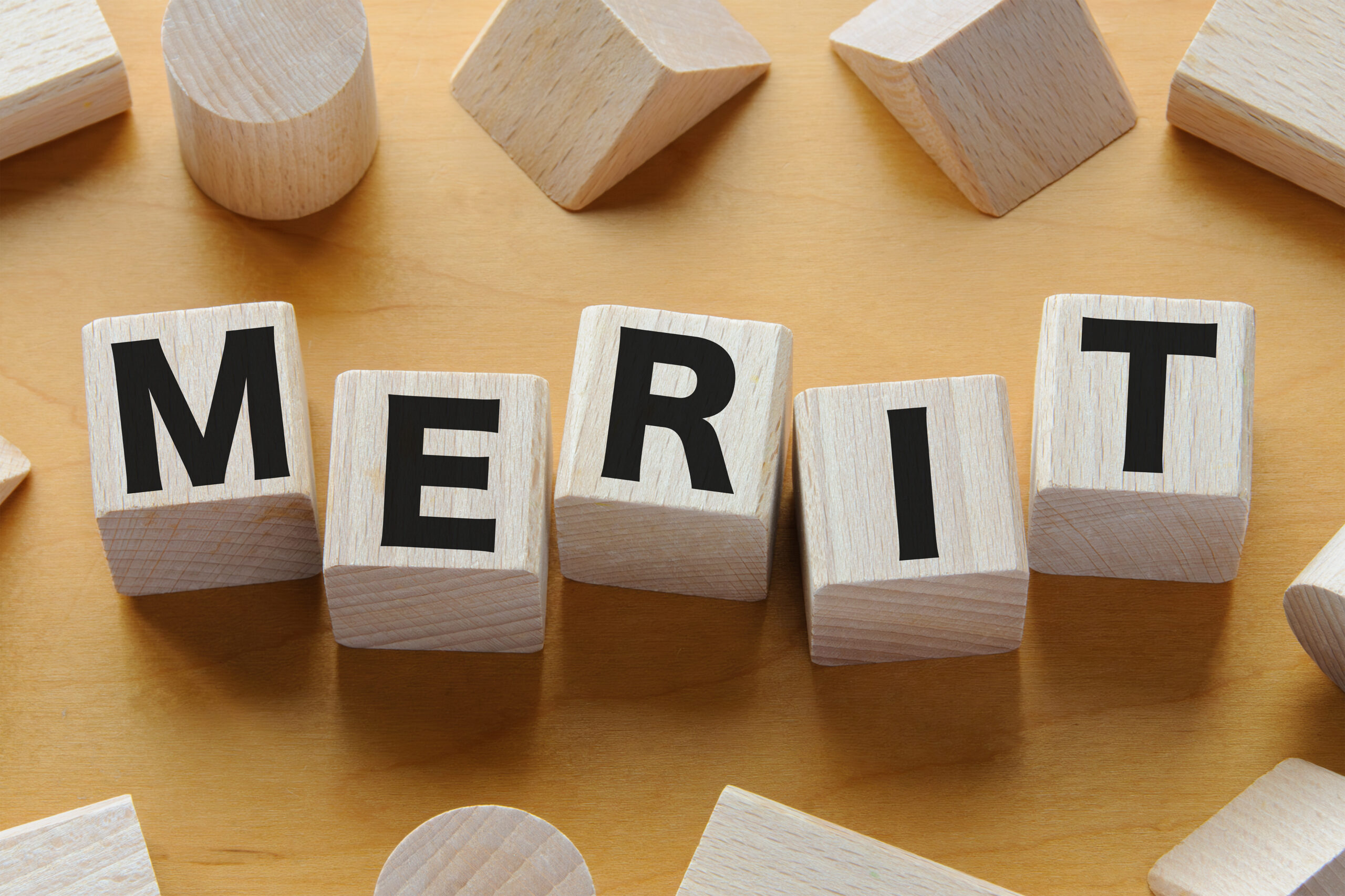 積み木に文字 MERIT